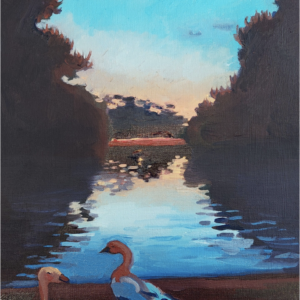 Geese of Lorentz by night